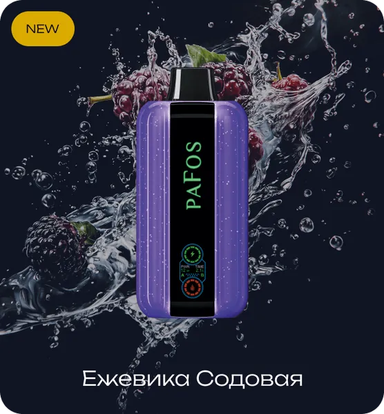 PAFOS 20000 Ежевика Содовая