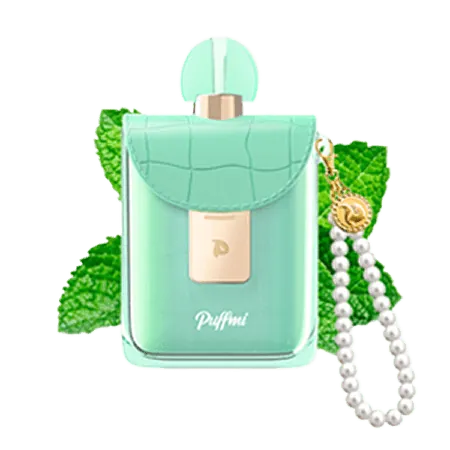 Puffmi 25000 FLORA Мятный ментос